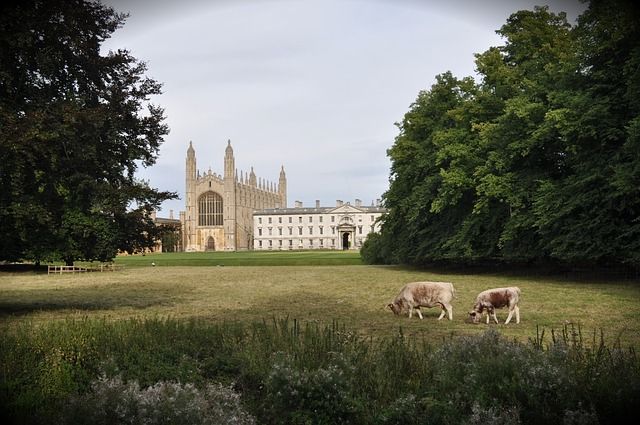Cambridgeshire Park Home Repairs and Refurbishment